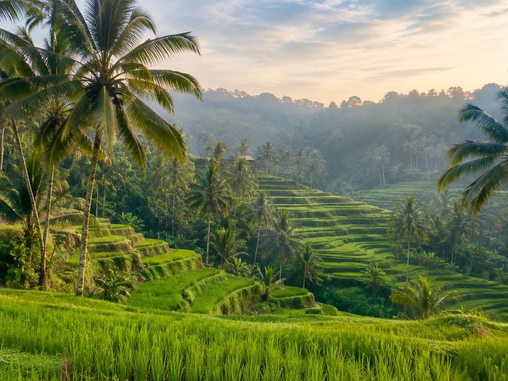 Bali tour package